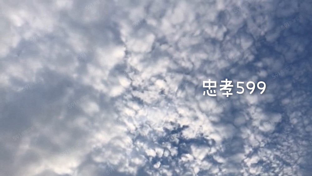 四房高採光居家復古小清新風格 - Image 1