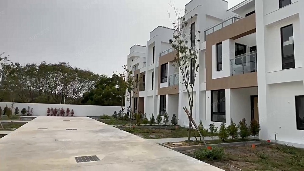 嘉義大埔美和府大智匯全新透天別墅全新完工