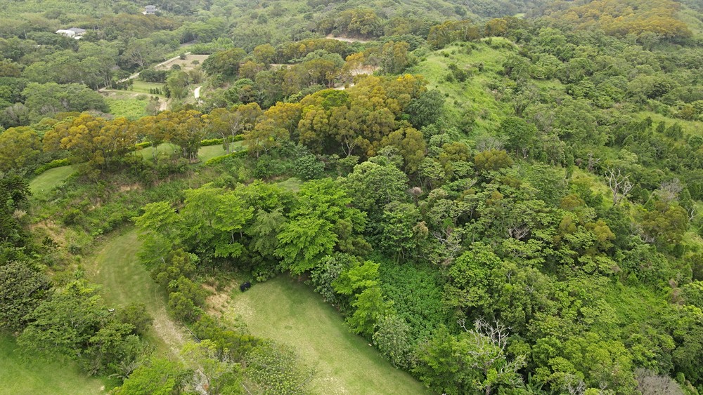 獨家我承辦,苗栗通宵四甲農地/山坡保育地.置產,開發,投資可