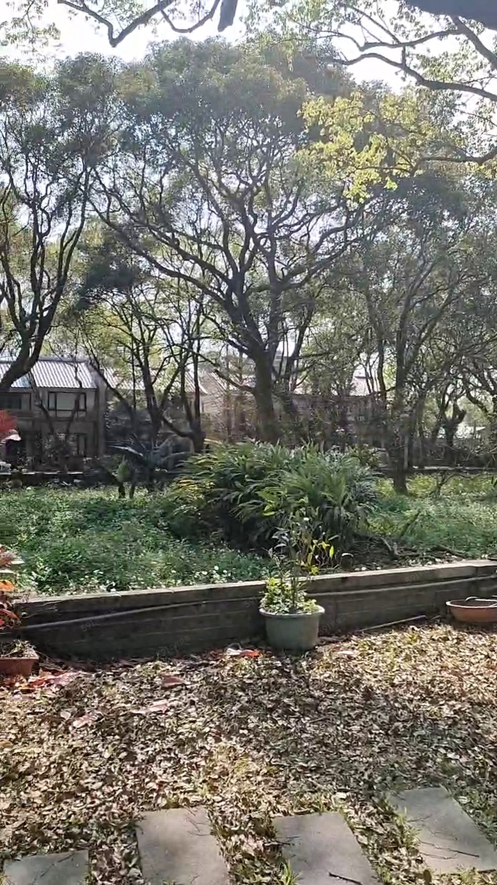 新社最美後花園-千坪綠地-無限山景-☆小林