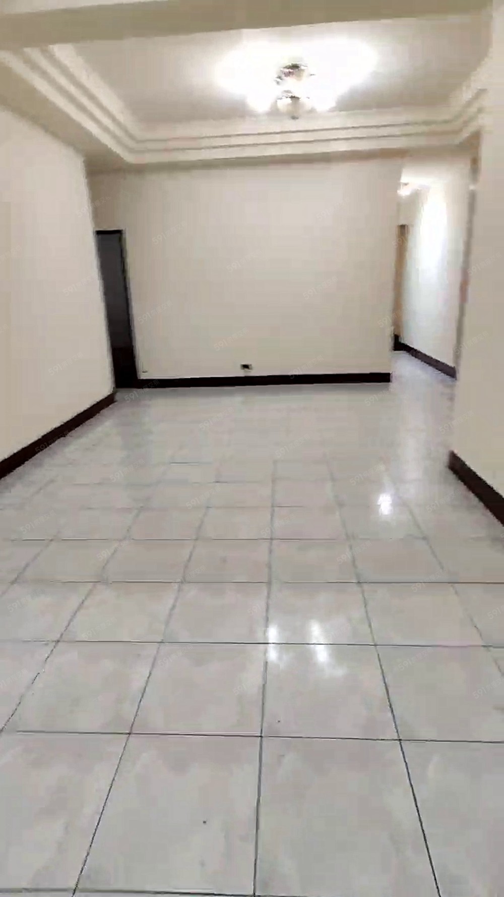 四號公園❤️一樓四房可租補❤️可小寵物 - Image 1