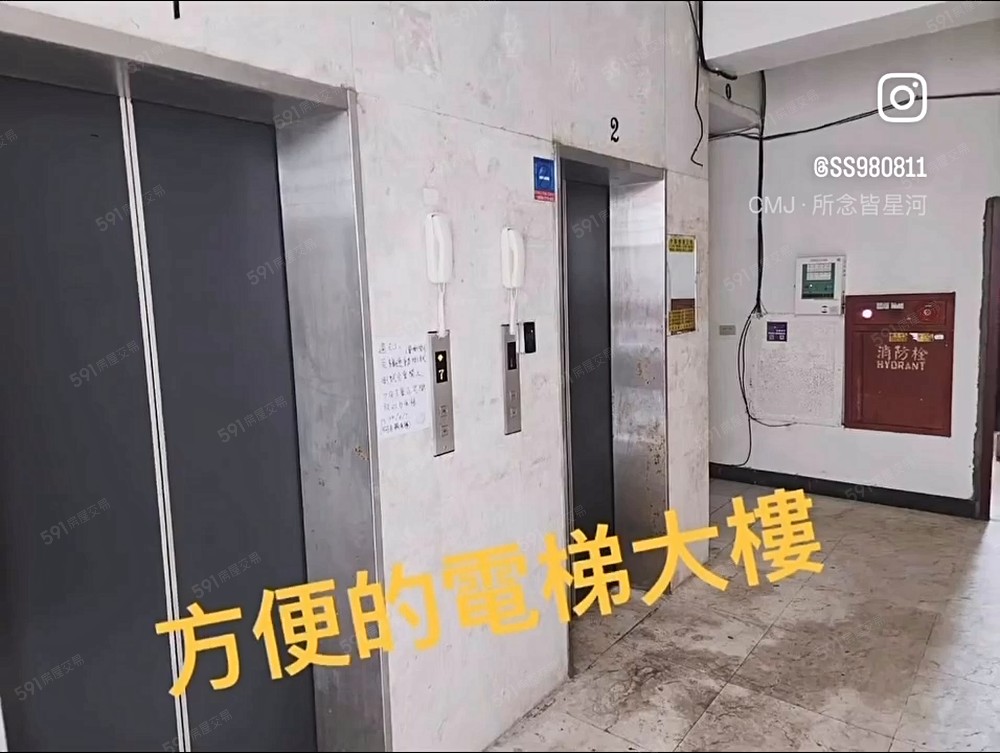 社宅租補💰近真理大學🏫新春市集+沙崙夜市 - Image 1