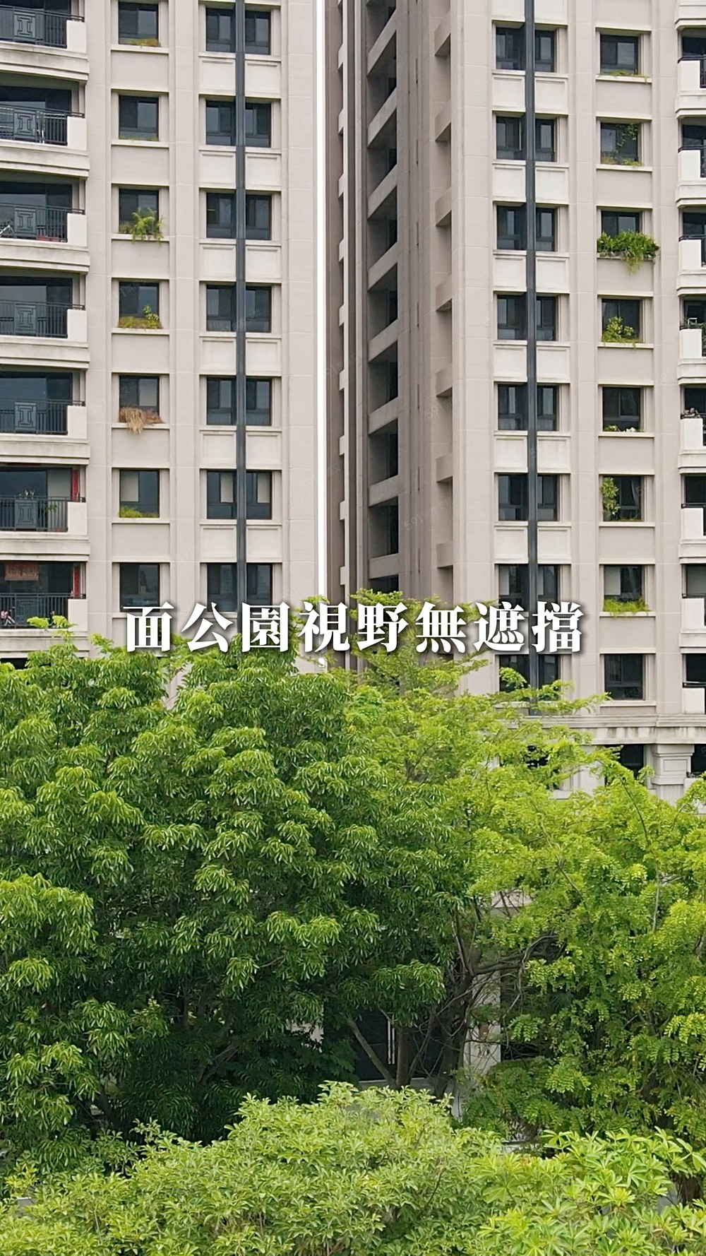 PL🔥專任千謙苑｜面公園視野無遮擋｜三房平車