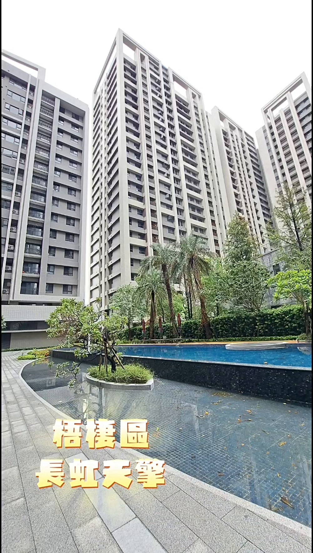 ✨長虹天擎兩房貓咪可談✨可開伙✨便宜租金含管含車位！！ - Image 1