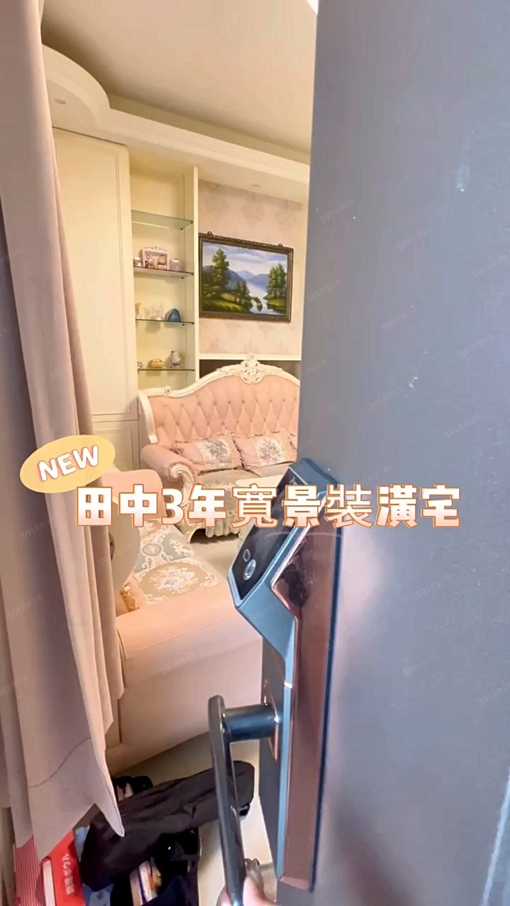 田中高鐵5分鐘🚄百萬裝潢・雙車位優質新屋