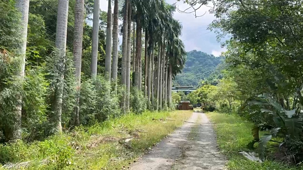 三峽大板根旁靜逸臨溪大別墅 - Image 1