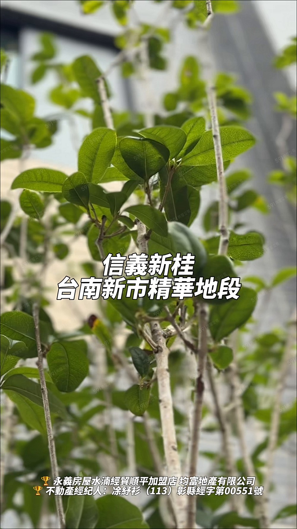 專任|信義新桂｜新市精華地段｜雙面採光大兩房｜機能滿滿