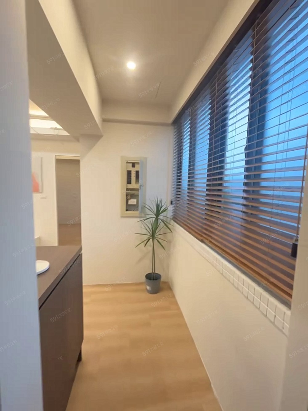 近啟英高中、台水台電、可養貓｜歡迎小家庭 - 591租屋網 - Image 1