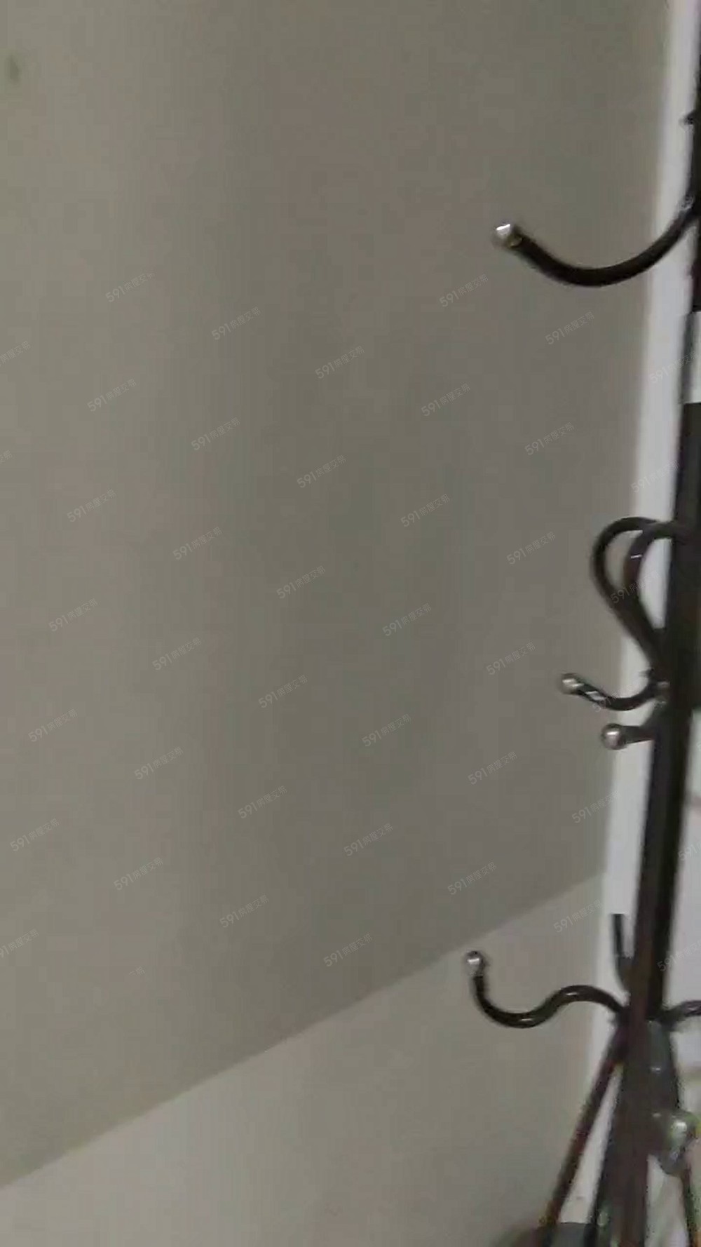 中和⚡️採光通風/可貓🐱傢俱齊全/空間大屋況佳/機能超強 - Image 1