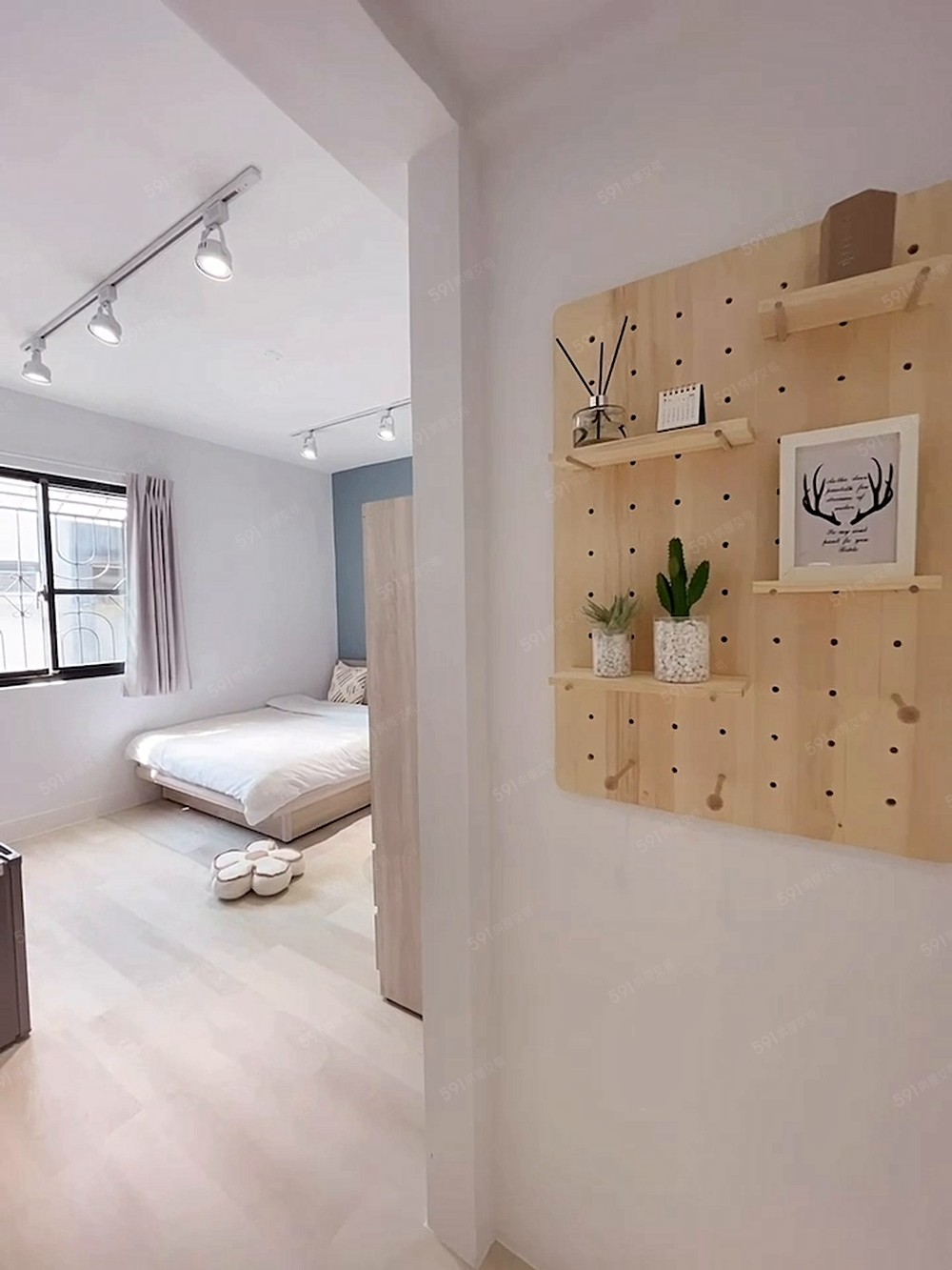 可租補高品質設計師貓奴套房 - Image 1