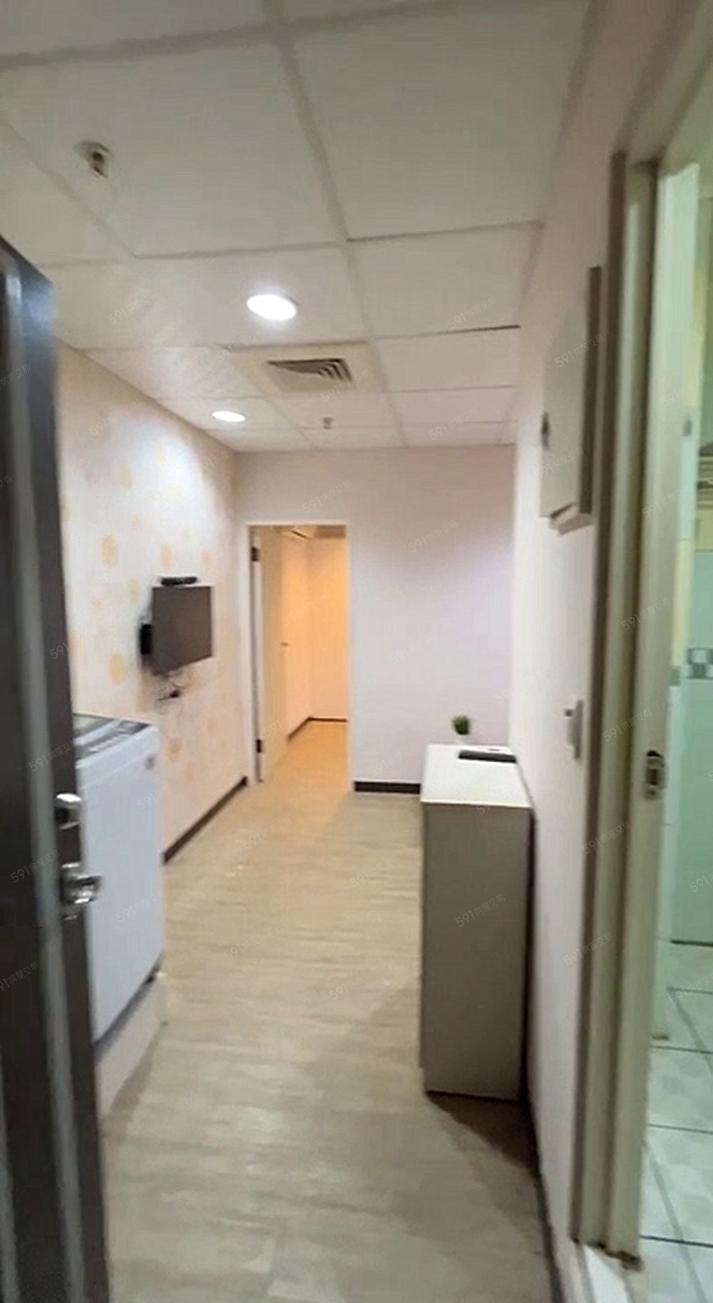 進興大🍁可租補🍁可寵🍁沙發🍁電梯管理員 - Image 1