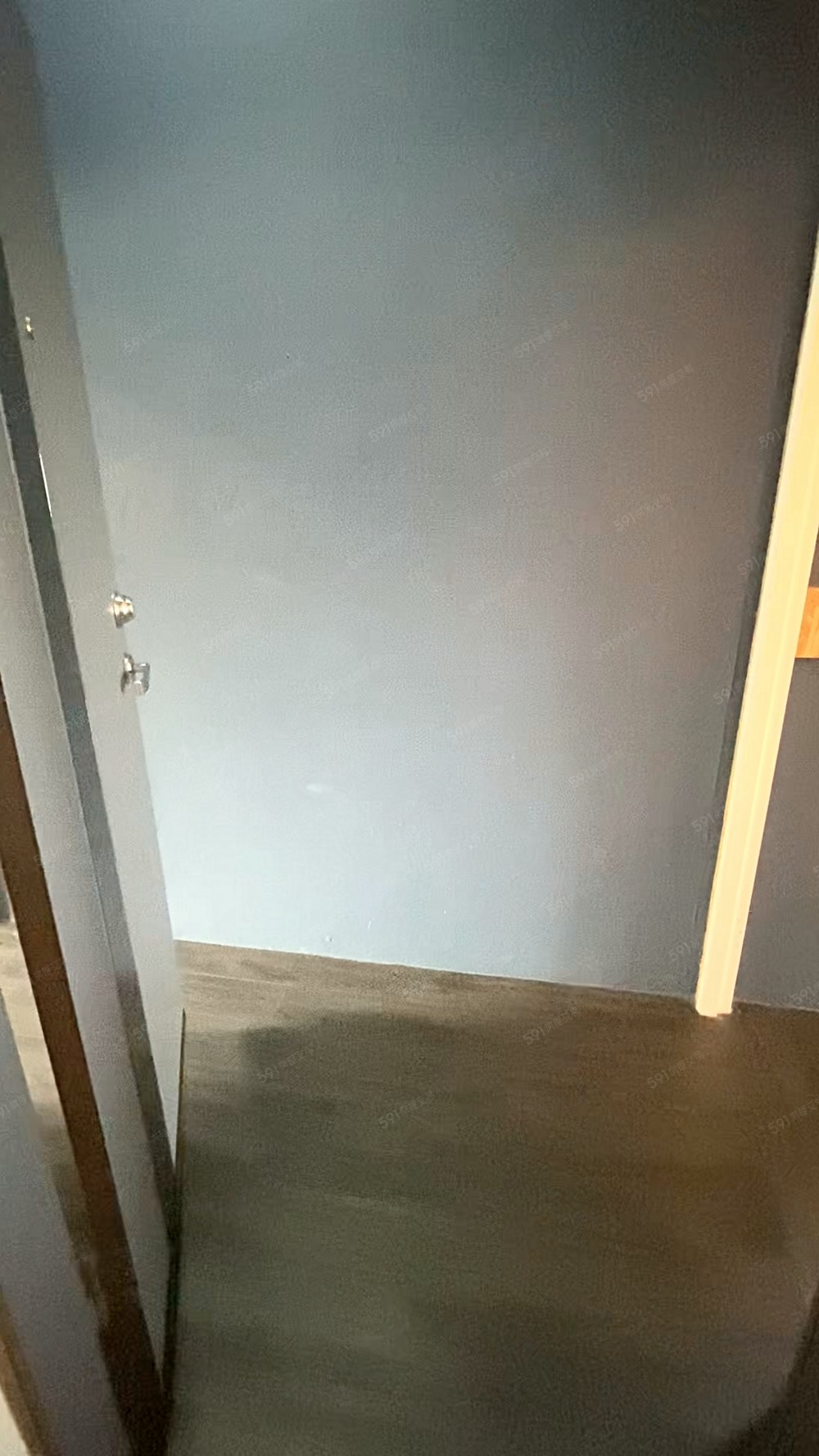 東海靜宜弘光可寵超大二房一廳陽台獨洗流理台可租補可雙租補 - Image 1