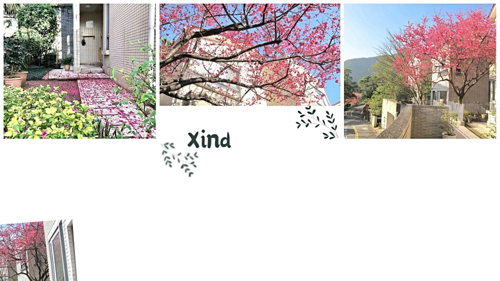 獨家華城秀岡別墅-雙庭院方正三房-近青山康橋學校