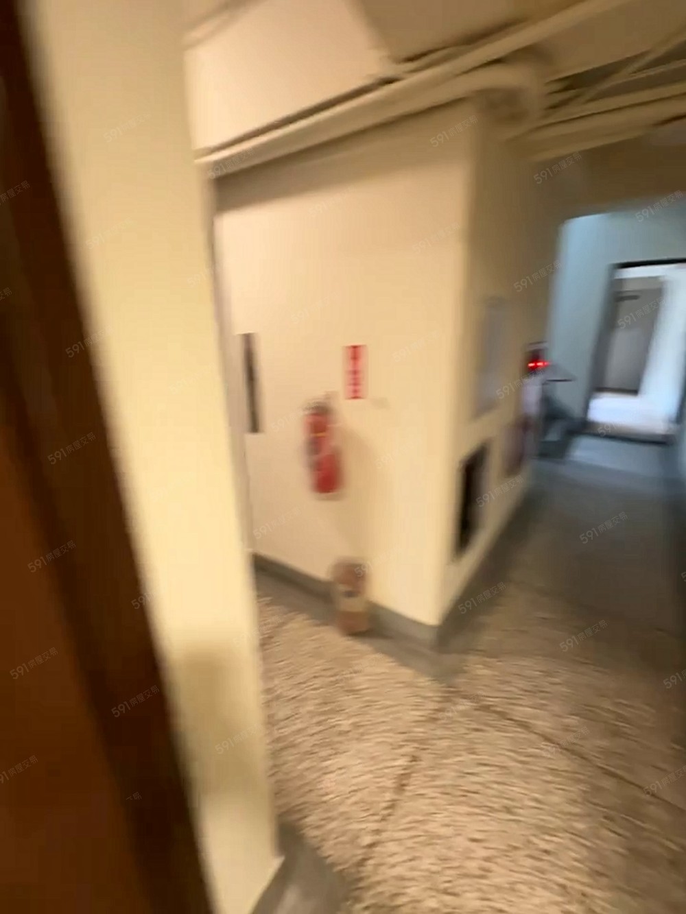 可貓狗💜雙租補💜全新💜流理台💜雙層冰箱💜衛浴開窗 - Image 1