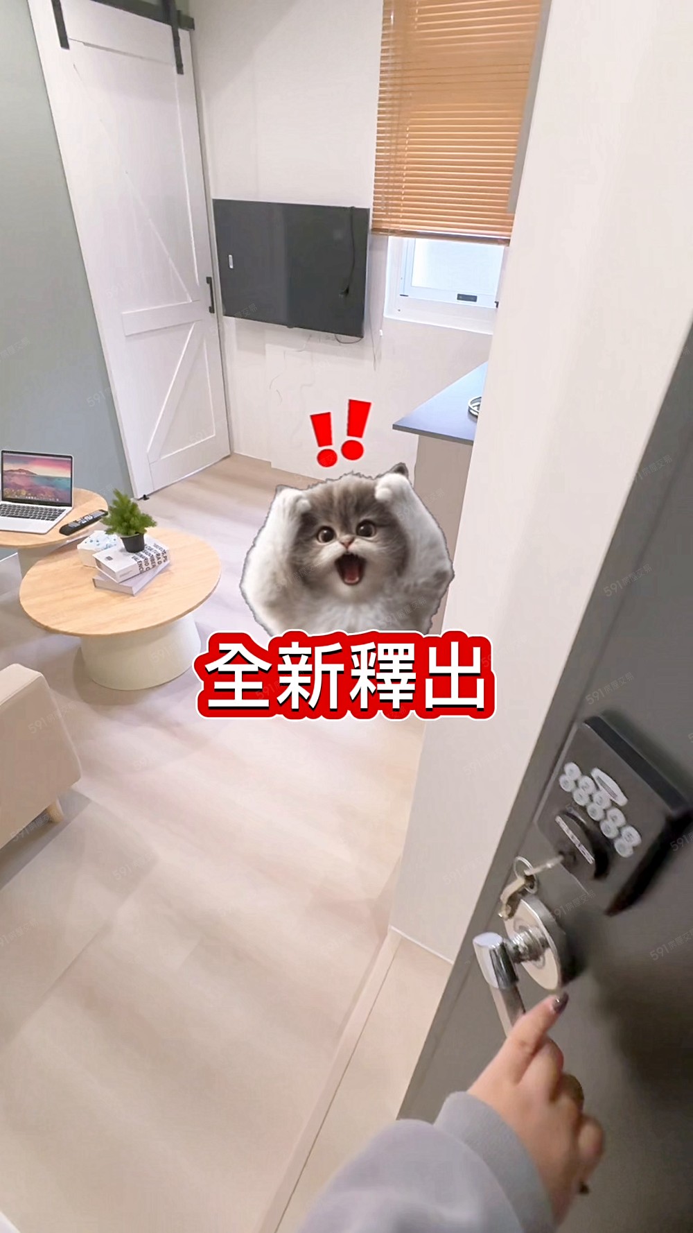 近桃園火車站｜全新裝潢｜一房一廳｜乾濕分離｜獨洗獨曬 - 591租屋網 - Image 1