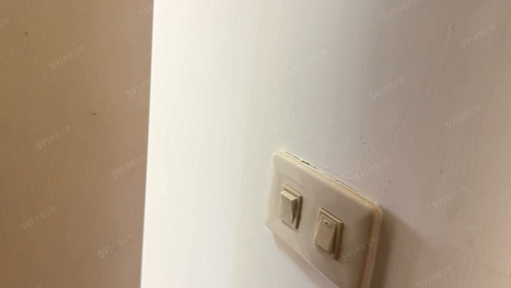 可貓狗/近巨蛋/可入籍/電梯大樓 - Image 1