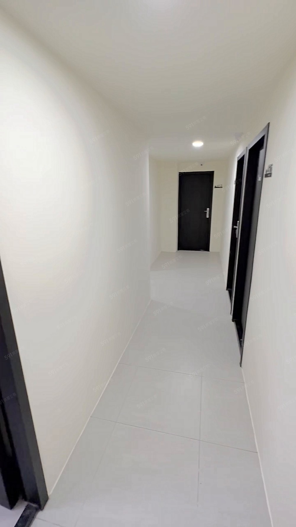 🍉近中國醫🍉透天電梯🍉乾濕分離🍉可貓可狗🍉台電分算 - Image 1