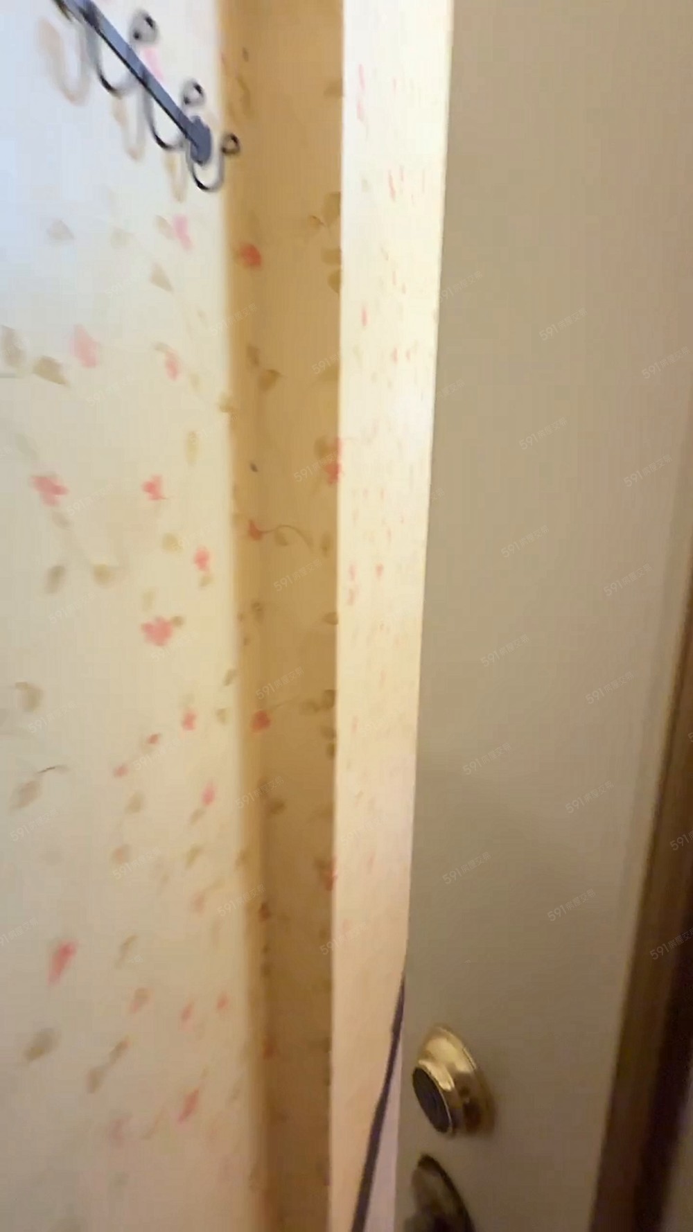 💫近中興大學爬梯套房💫可租補/垃圾集中處理💫 - Image 1