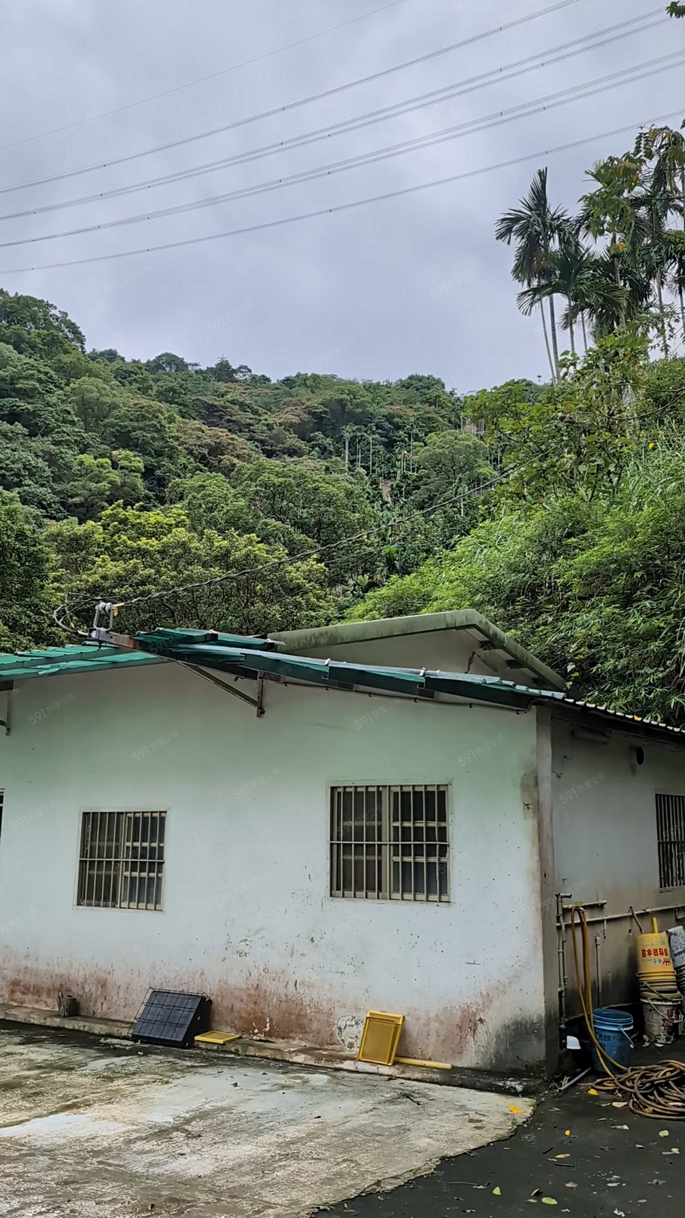 新店山區桃花源祕境 - Image 1